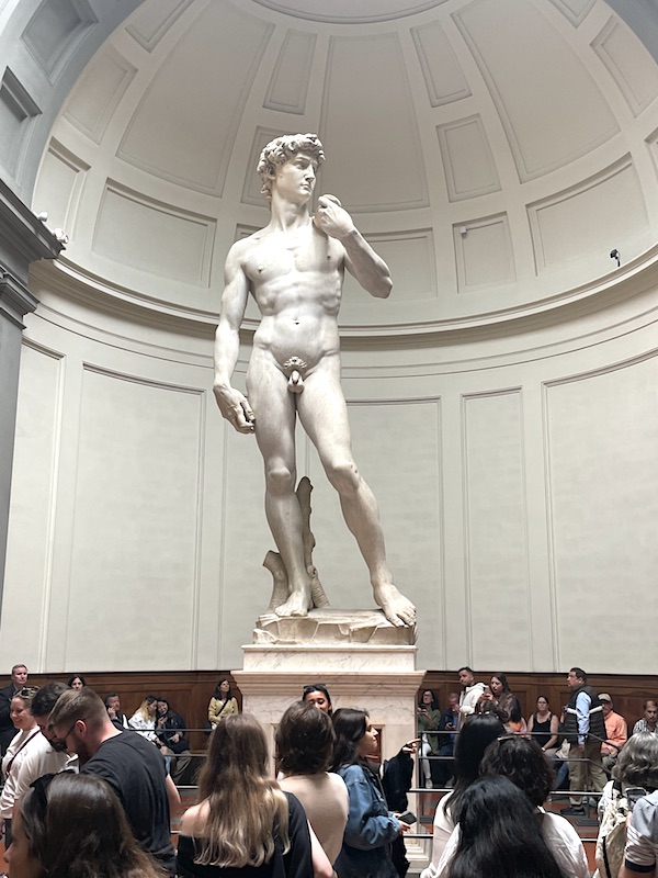 Michelangelo’s David at the Accademia Gallery of Florence