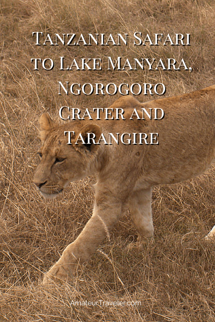 호수 Manyara, Ngorogoro 분화구 및 Tarangire에 탄자니아 사파리