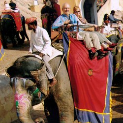 Travel to India – Episode 317