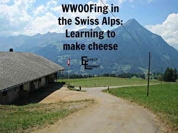 WWOOFing – Imparare a fare il formaggio in Svizzera
