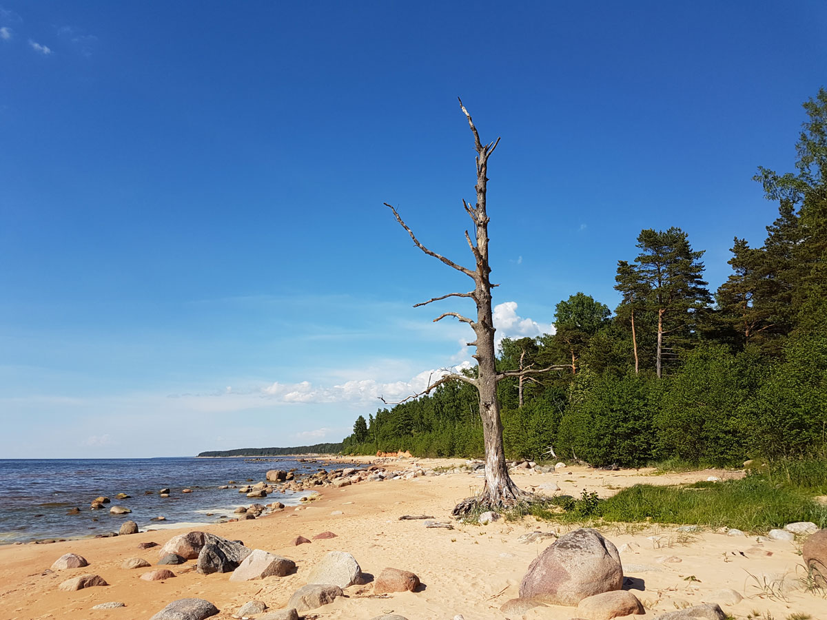 Vidzeme Stony Beach – 리가만의 동부 해안