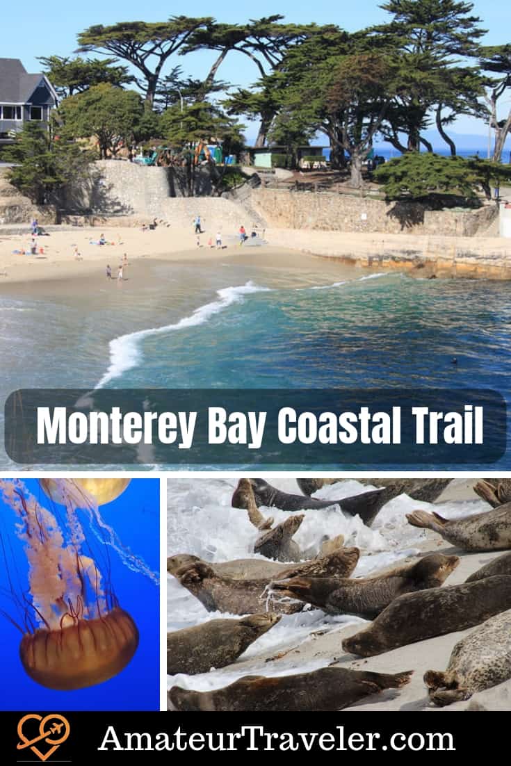 Monterey Bay Coastal Trail – Monterey and Pacific Grove, California, walking or biking between Lover's Point and Fisherman's Wharf. What do see. Where to sleep, eat and shop. #travel #trip #vacation #california #monterey #pacific-grove #monterey-bay #cannery-row #aquarium #food