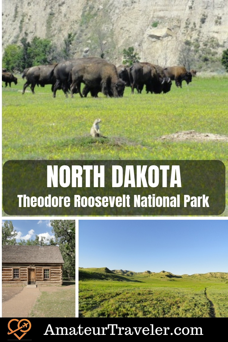 Kuzey Dakota ve Theodore Roosevelt Ulusal Parkı # north-dakota #usa #travel #trip #vacation # Theodore-Roosevelt # National-Park # planlaması # whattodoin