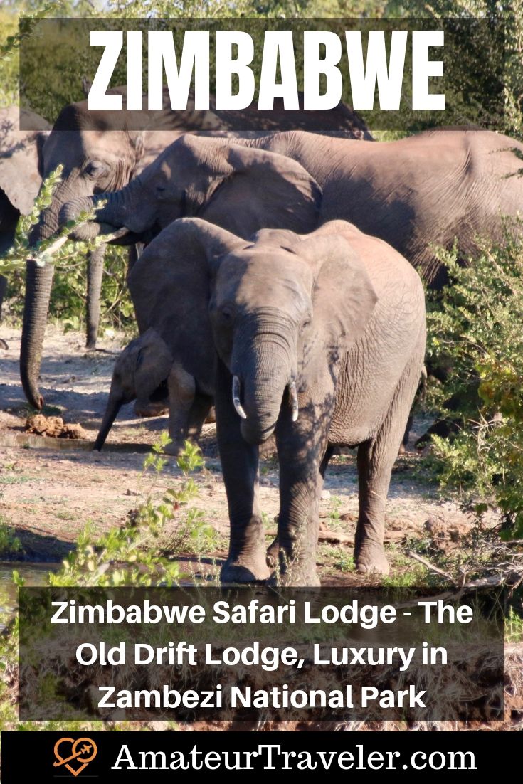 Zimbabwe Safari Lodge - The Old Drift Lodge, lujo en el parque nacional de Zambezi | Africa Safari Lodge #travel #trip #vacation #africa #safari #lodge #zimbabwe # victoria-falls #wildlife #interior #bedroom #elephant #hippo #food #zambezi