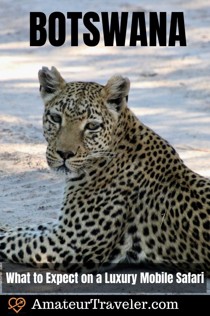 Safari mobile di lusso in Botswana - Cosa aspettarsi | Quando andare in Botswana #africa #safari #botswana #okavango #delta #travel #trip #vacation #luxury #photography