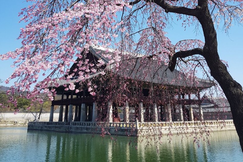 A Guide to the 5 Royal Palaces of Seoul