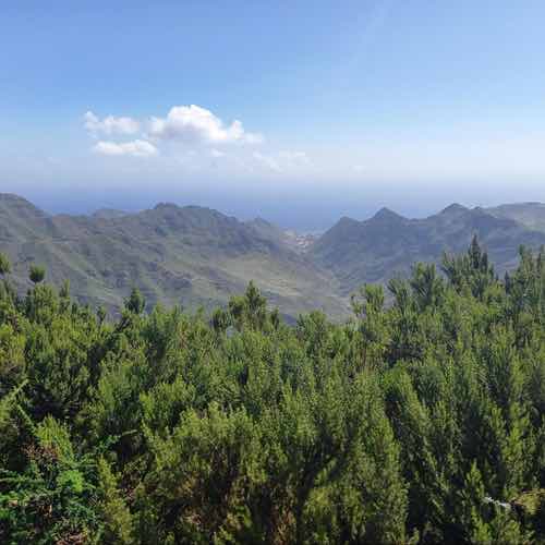 Tenerife Workation: Why  Tenerife is the Perfect Place to Experience a Workation