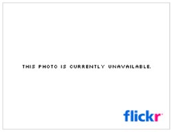 Photos Disappearing from Flickr – When the Cloud Fails